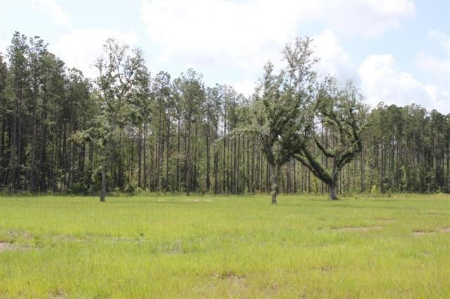 29658 Billy Joe Road Independence, LA 70443 - Photo 2 of 6
