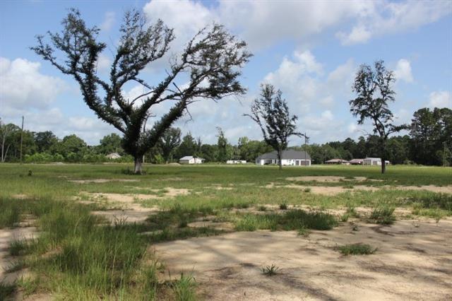 29658 Billy Joe Road Independence, LA 70443 - Photo 3 of 6