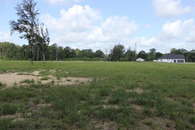 29658 Billy Joe Road Independence, LA 70443 - Photo 4 of 6