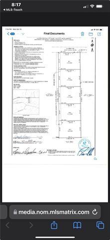 29658 Billy Joe Road Independence, LA 70443 - Photo 6 of 6