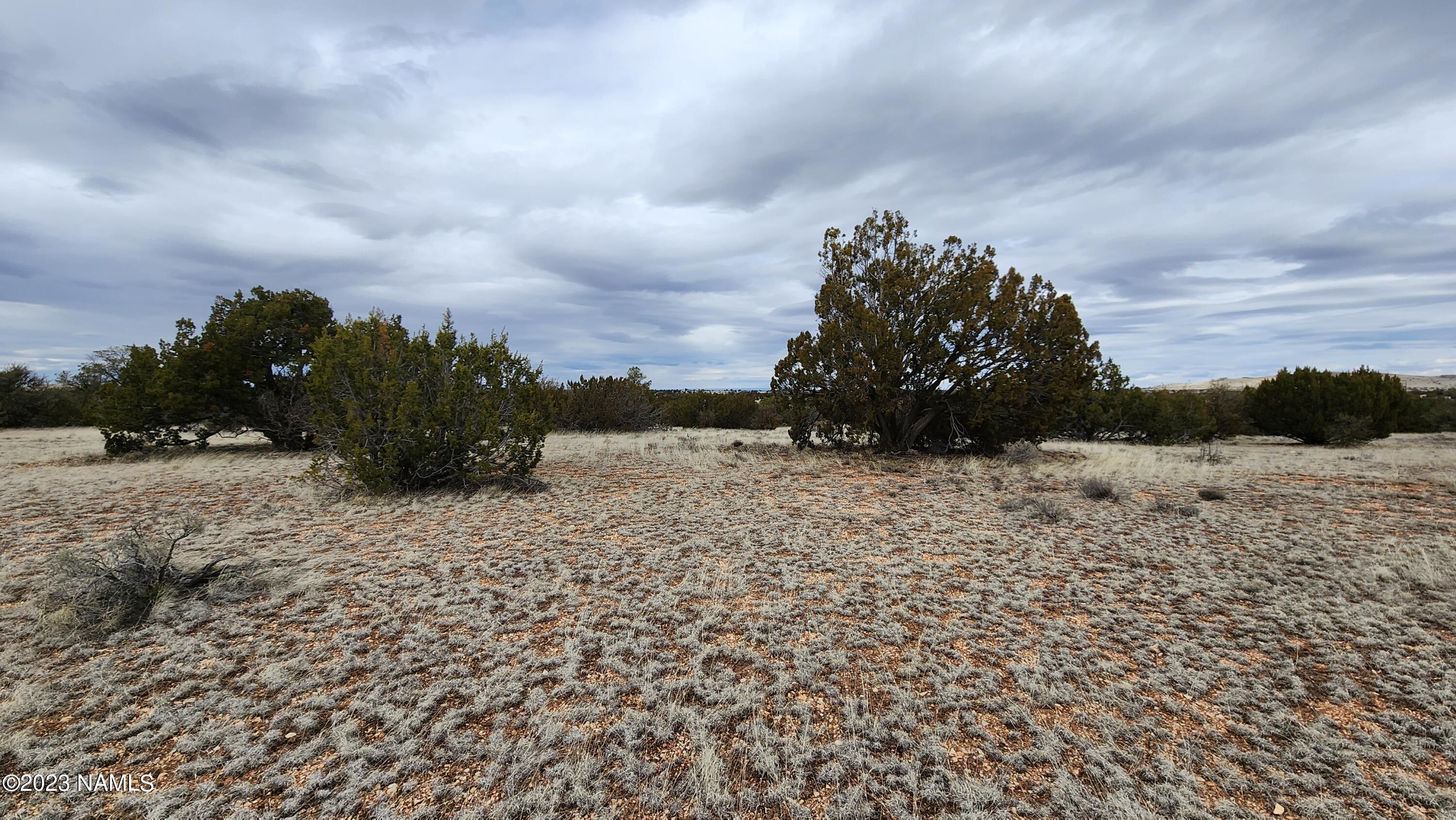 9401 Latigo Road, Unit 252 Williams, AZ 86046 - Photo 14 of 18 20230314_133127