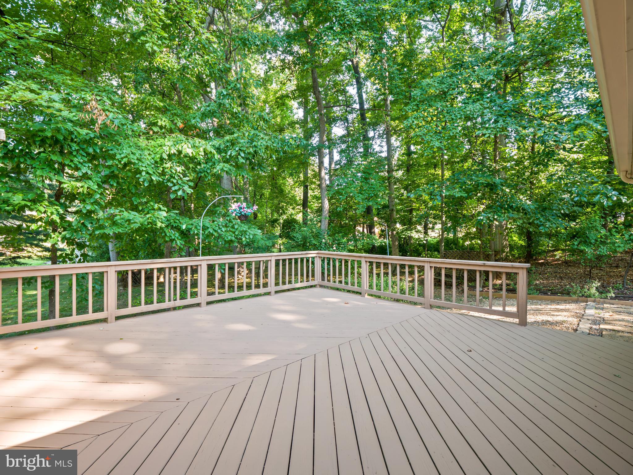 14904 Peach Orchard Road Silver Spring, MD 20905 - Photo 11 of 54