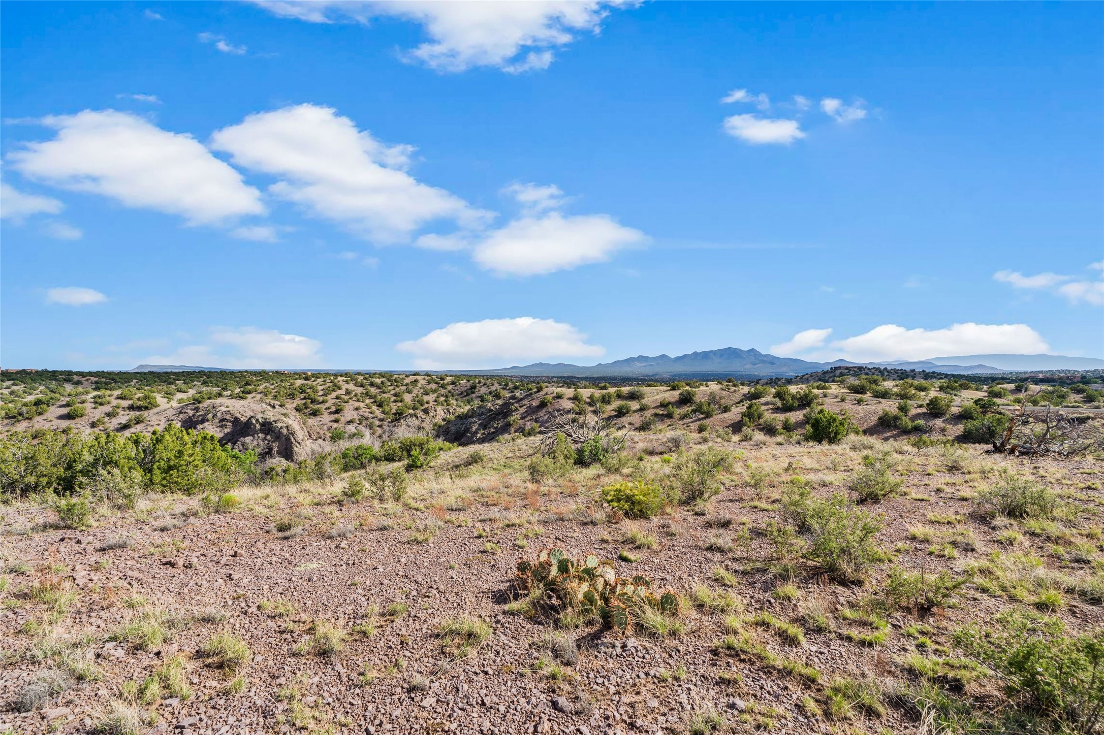 31 Gallina Road Santa Fe, NM 87508 - Photo 10 of 19