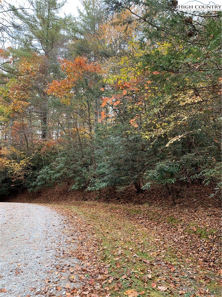 Hope Town Road Vilas, NC 28692 - Photo 4 of 11 a view of outdoor space and trees