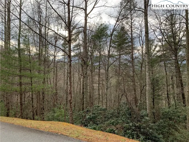 $120,000 | Hope Town Road, Vilas, NC 28692