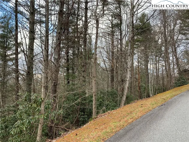 $120,000 | Hope Town Road, Vilas, NC 28692