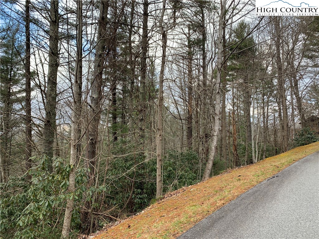 Hope Town Road Vilas, NC 28692 - Photo 7 of 11