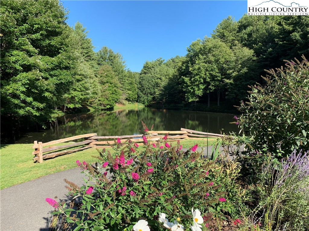 Hope Town Road Vilas, NC 28692 - Photo 9 of 11