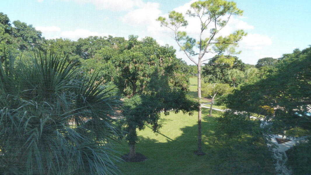 1841 Bridgewood Drive, Unit 1841 Boca Raton, FL 33434 - Photo 3 of 68 20191122135704114261000000-o