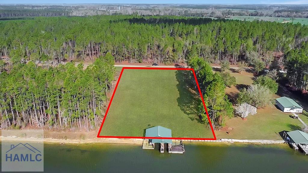 0 Jimmy Ree Lane Bristol, GA 31518 - Photo 1 of 12 Main View
