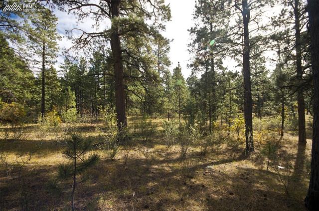 10615 Milam Road Colorado Springs, CO 80908 - Photo 24 of 25 Gallery Image 24