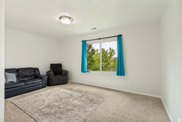 1427 South 1100th Street West Springville, UT 84663 - Photo 23 of 44