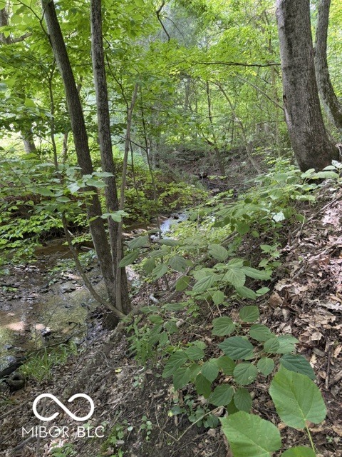 0 Coloma Road Rockville, IN 47872 - Photo 19 of 28 Gallery Image 19