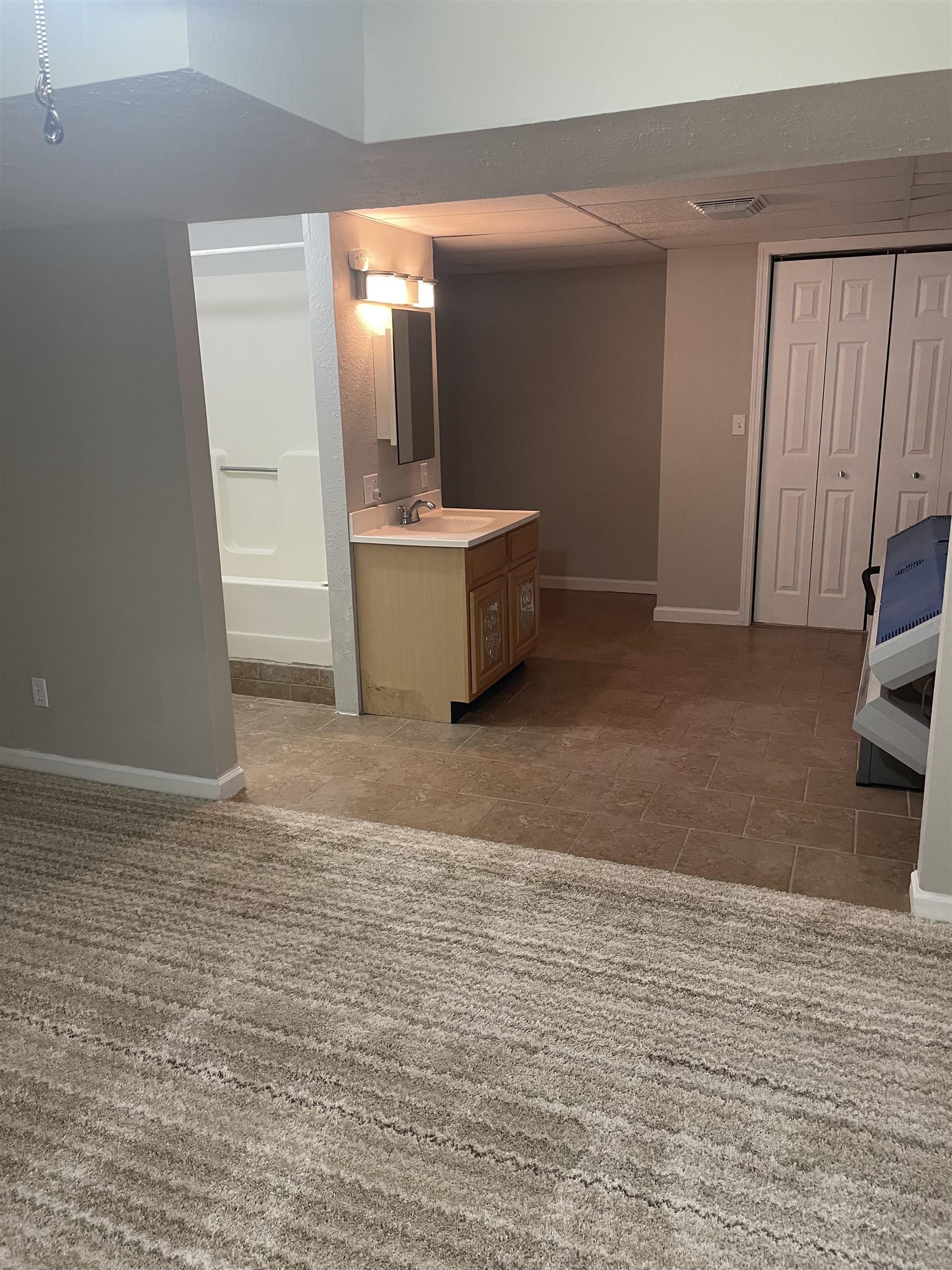 5488 Tick Ridge Road Grand Chain, IL 62941 - Photo 12 of 27 a bathroom with a sink and mirror