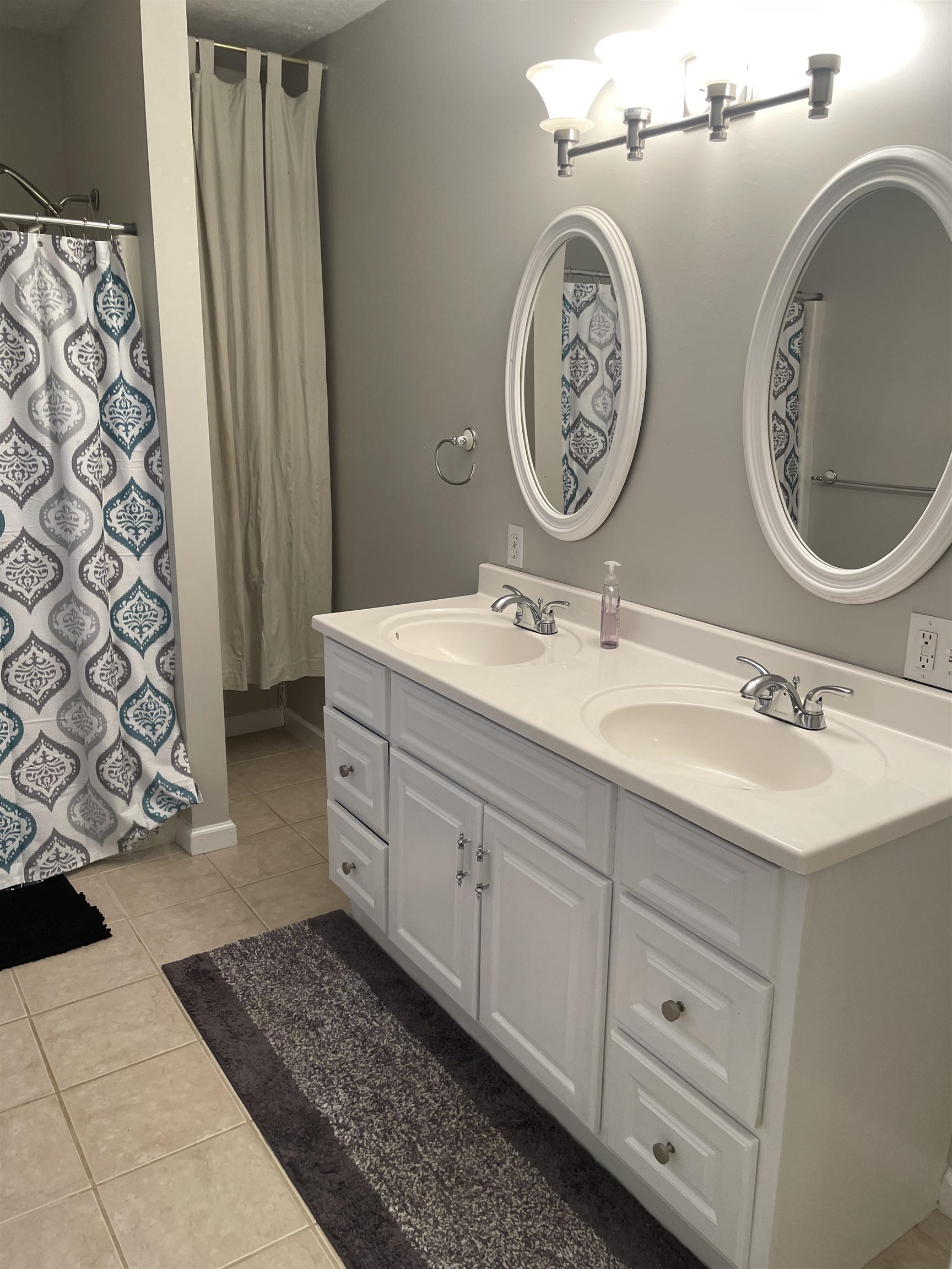 5488 Tick Ridge Road Grand Chain, IL 62941 - Photo 21 of 27 a bathroom with a double vanity sink and a mirror
