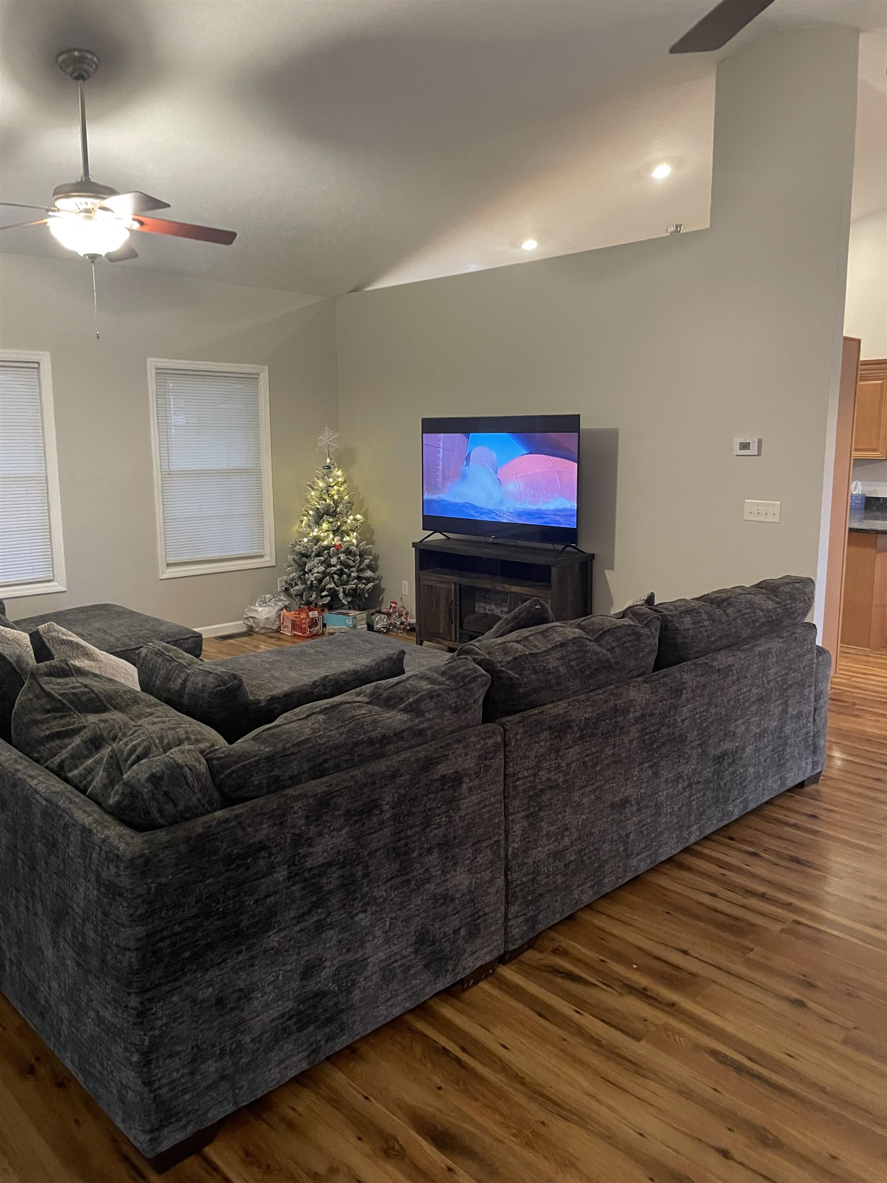 5488 Tick Ridge Road Grand Chain, IL 62941 - Photo 6 of 27 a living room with furniture and a flat screen tv