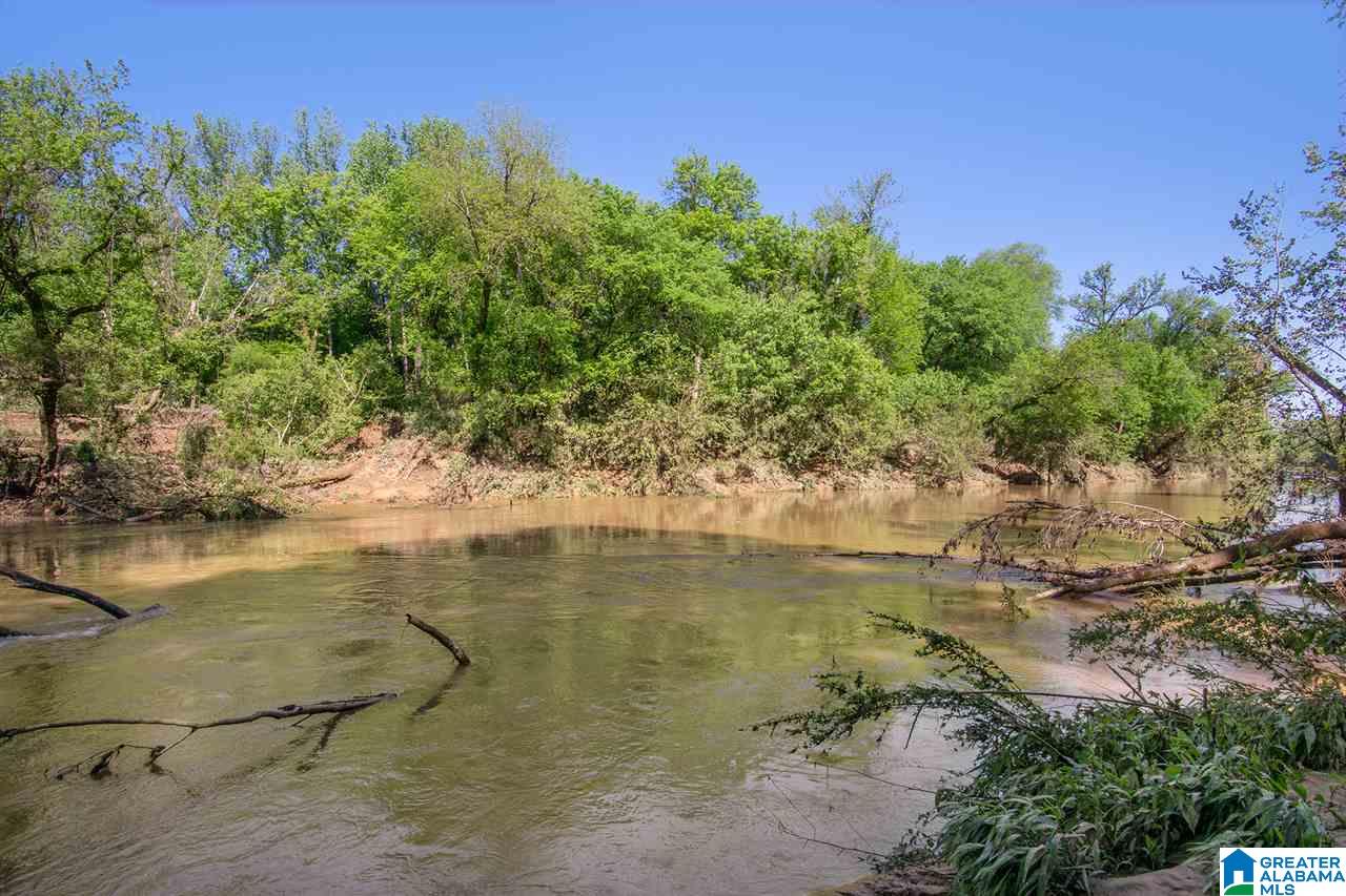 1720 Ponderosa Road Hayden, AL 35079 - Photo 41 of 45
