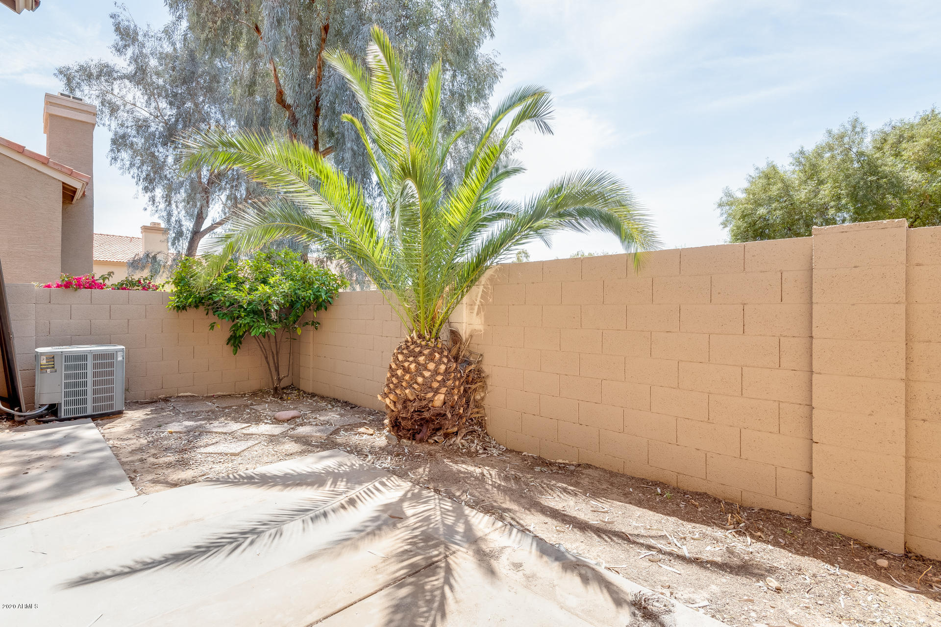 4157 East Agave Road Phoenix, AZ 85044 - Photo 31 of 33 a view of a plants in front of a house