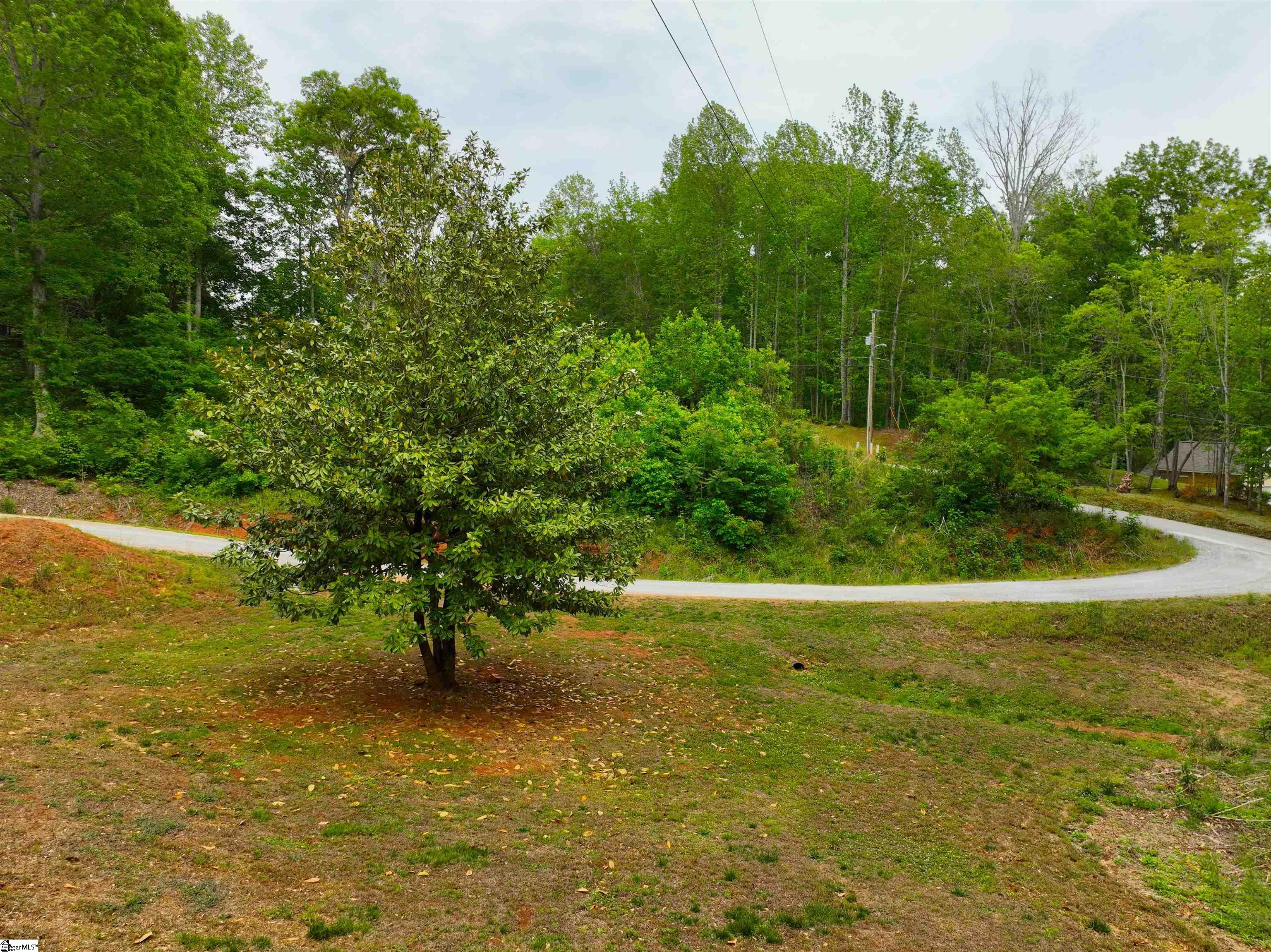 993 North Barton Road Landrum, SC 29356 - Photo 25 of 28