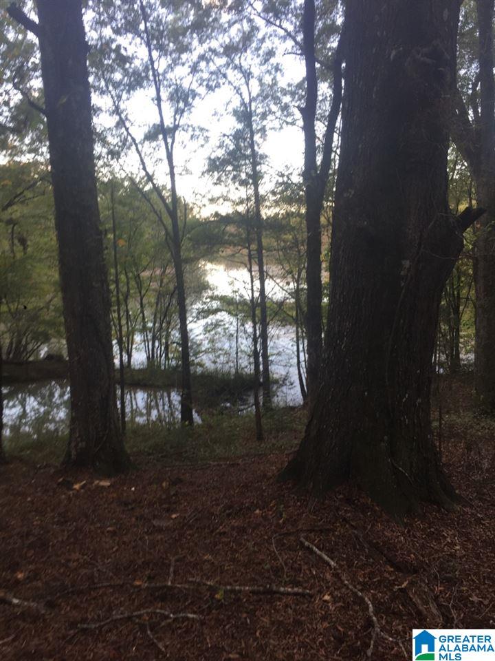 0 Blue Eye Springs Road, Unit 1 Lincoln, AL 35096 - Photo 20 of 24