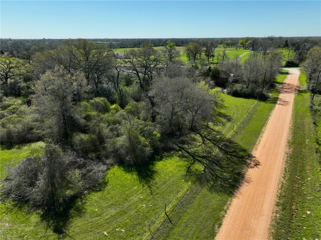 Tbd Telephone Road Hempstead, TX 77445 - Photo 11 of 34 a view of a green yard with large trees