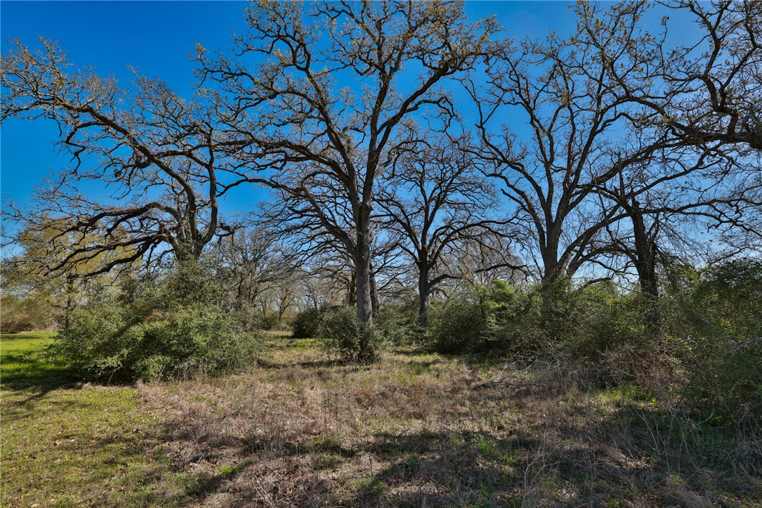 Tbd Telephone Road Hempstead, TX 77445 - Photo 27 of 34 a view of backyard with green space