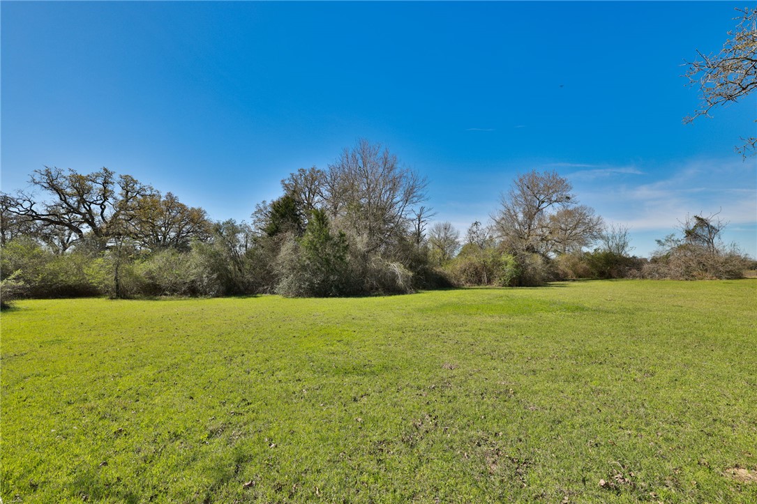 Tbd Telephone Road Hempstead, TX 77445 - Photo 29 of 34 a view of big yard with a yard