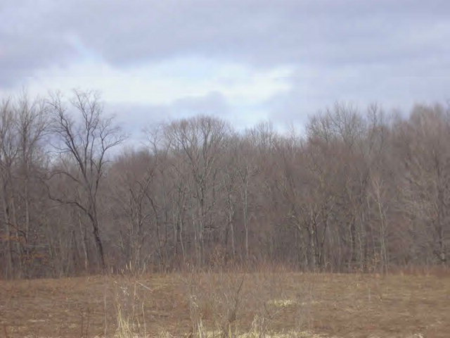 Corner Corner Sunol & Branch Roads Cochranton, PA 16314 - Photo 1 of 1