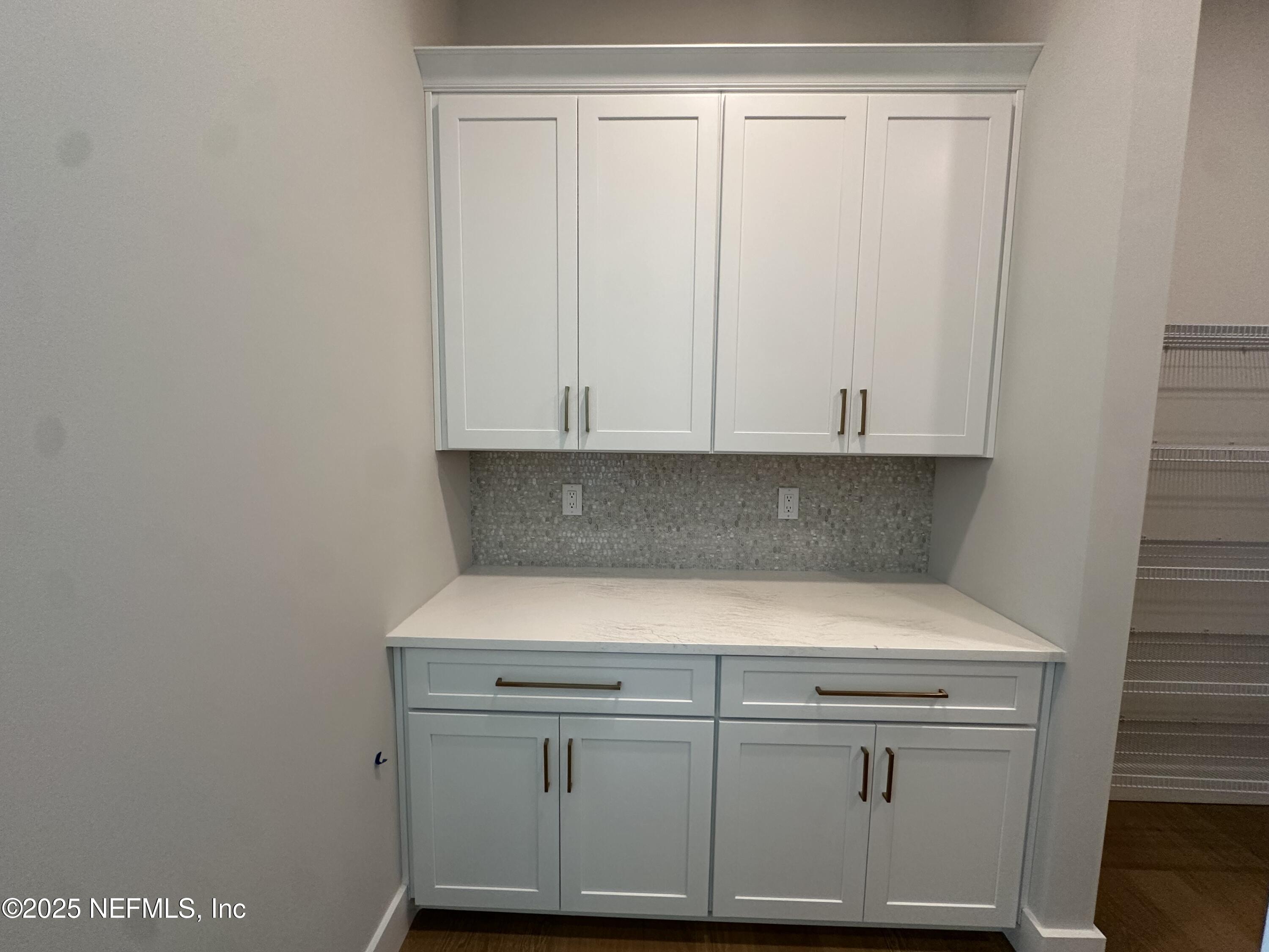 809 Brandywine Court St. Augustine, FL 32086 - Photo 16 of 63 Butler panty