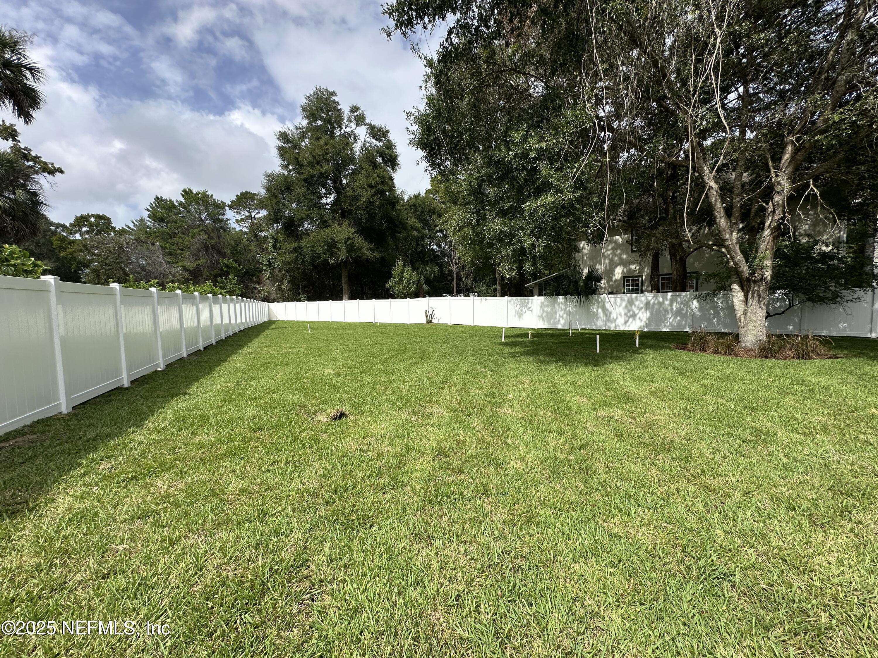 809 Brandywine Court St. Augustine, FL 32086 - Photo 44 of 63 Yard