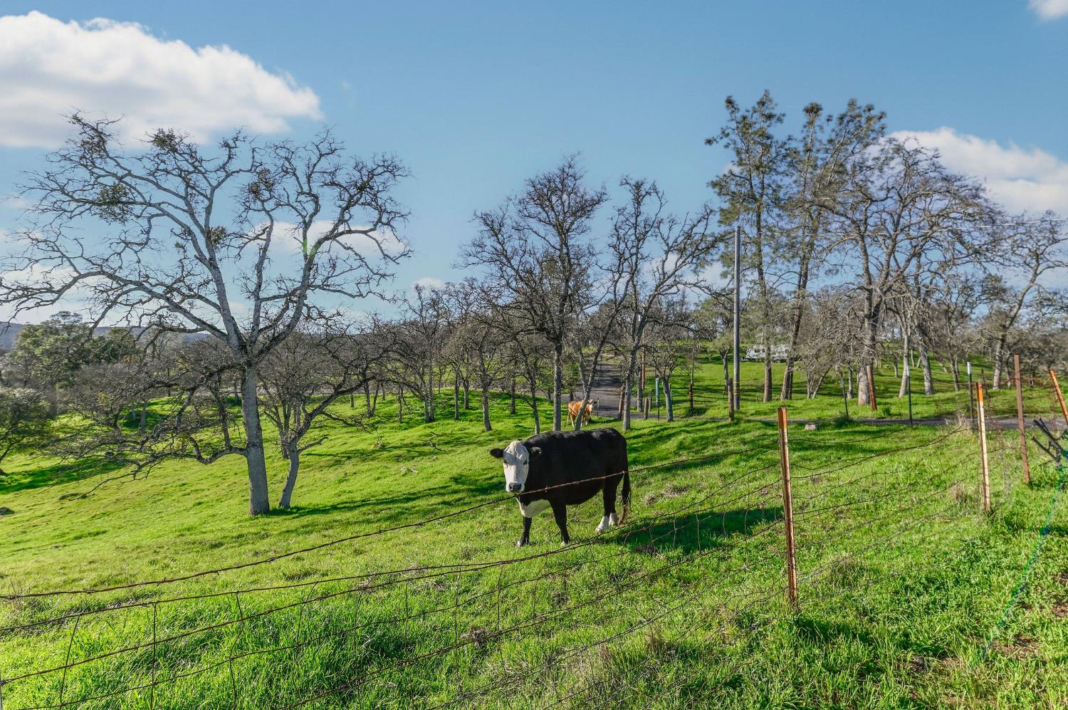 3653 Chuckwagon Drive Copperopolis, CA 95228 - Photo 3 of 73