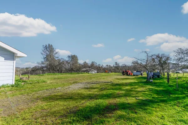 a view of a patio with table and chairs potted plants and a large tree