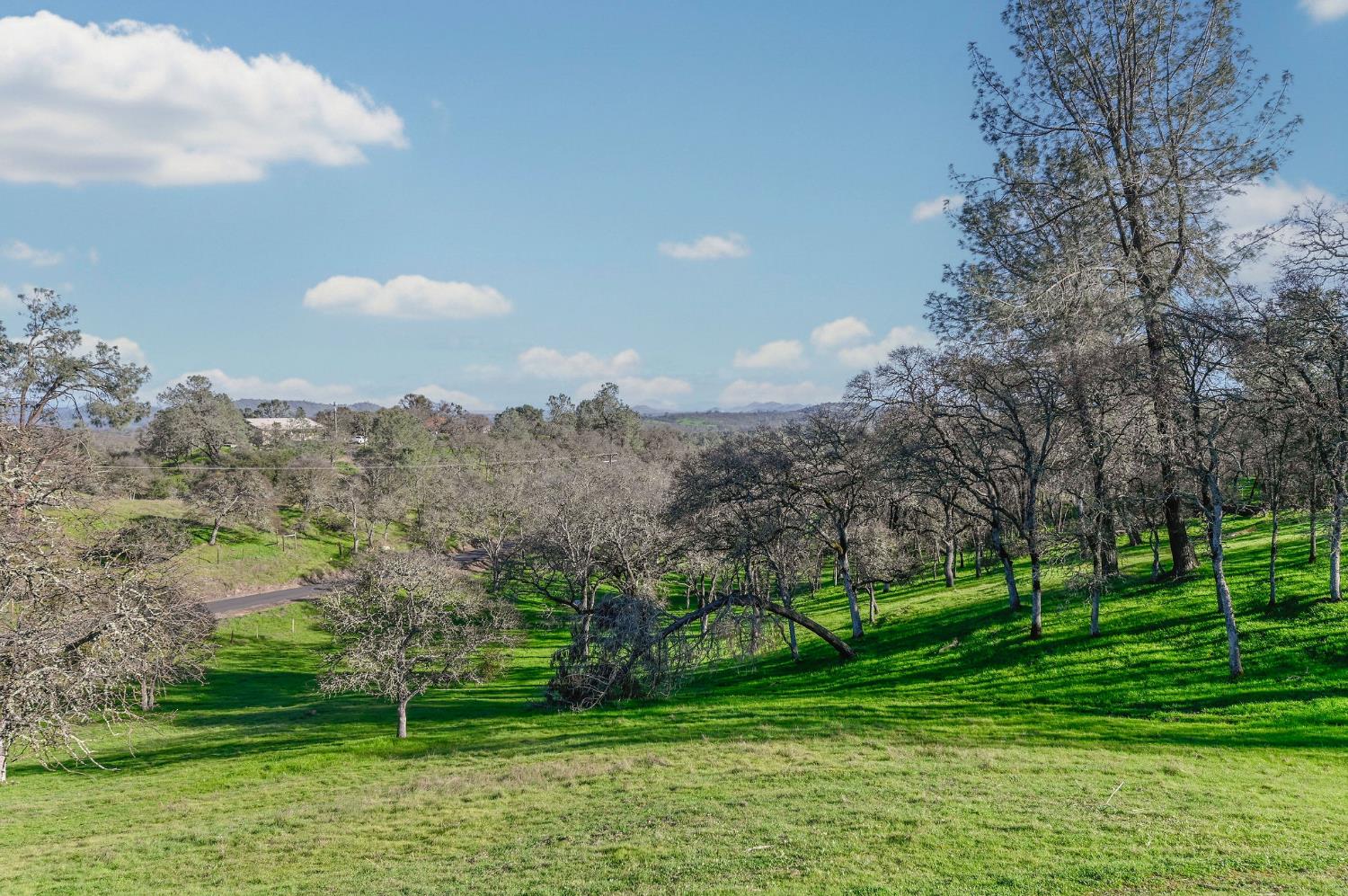 3653 Chuckwagon Drive Copperopolis, CA 95228 - Photo 42 of 73 a view of a golf course with a lake