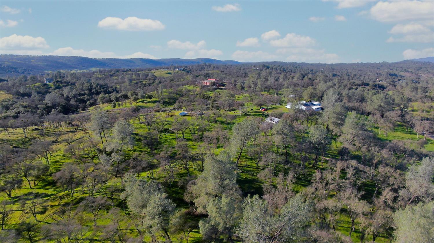 3653 Chuckwagon Drive Copperopolis, CA 95228 - Photo 57 of 73 an aerial view of houses covered in trees