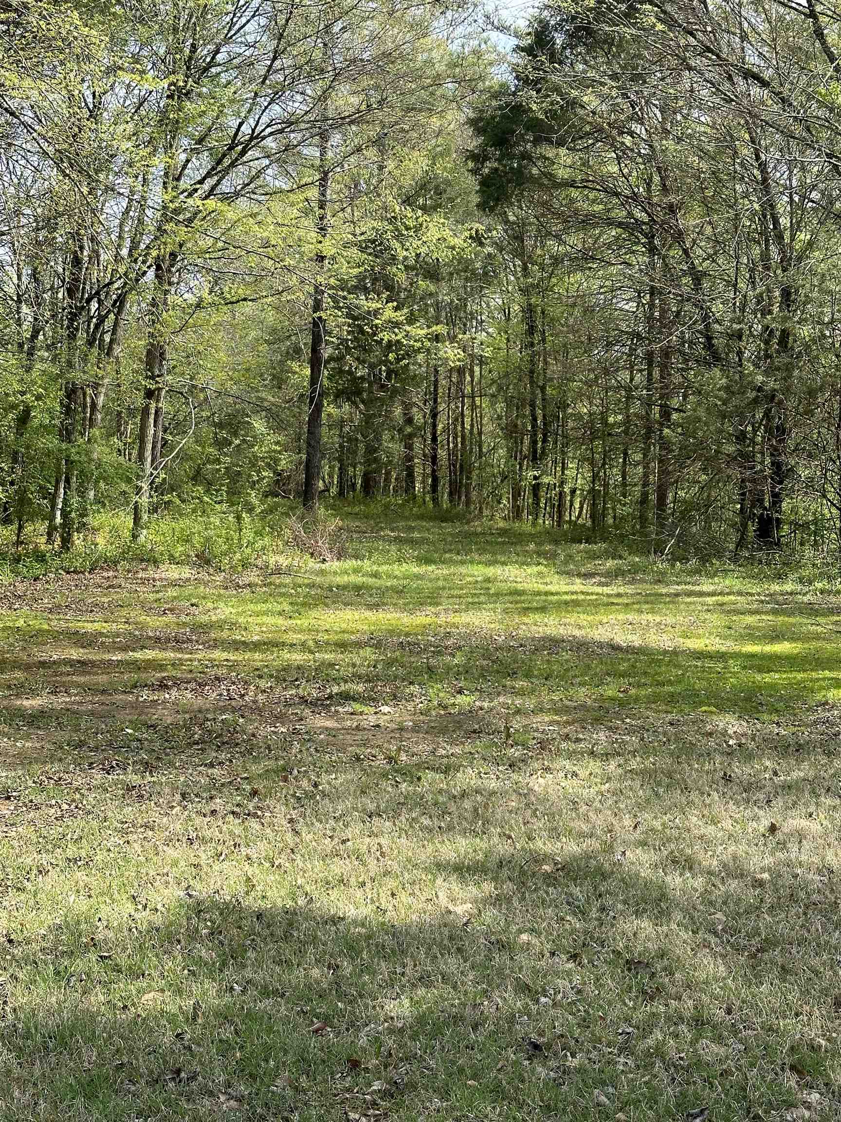 1820 North Red Banks Road Red Banks, MS 38661 - Photo 23 of 24 Gallery Image 23