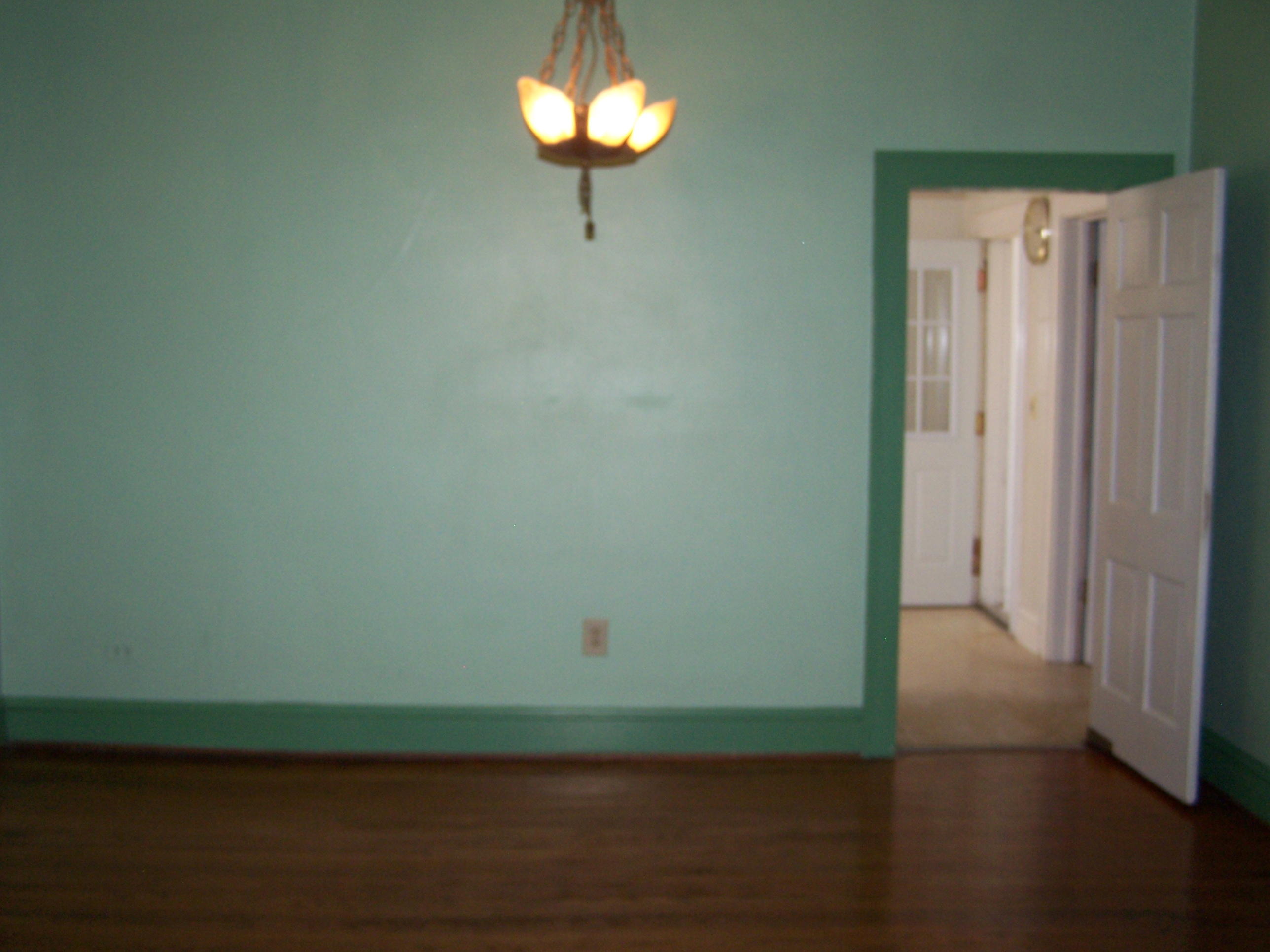 5575 Roanoke Road Fincastle, VA 24090 - Photo 10 of 29 Dining Room (2)
