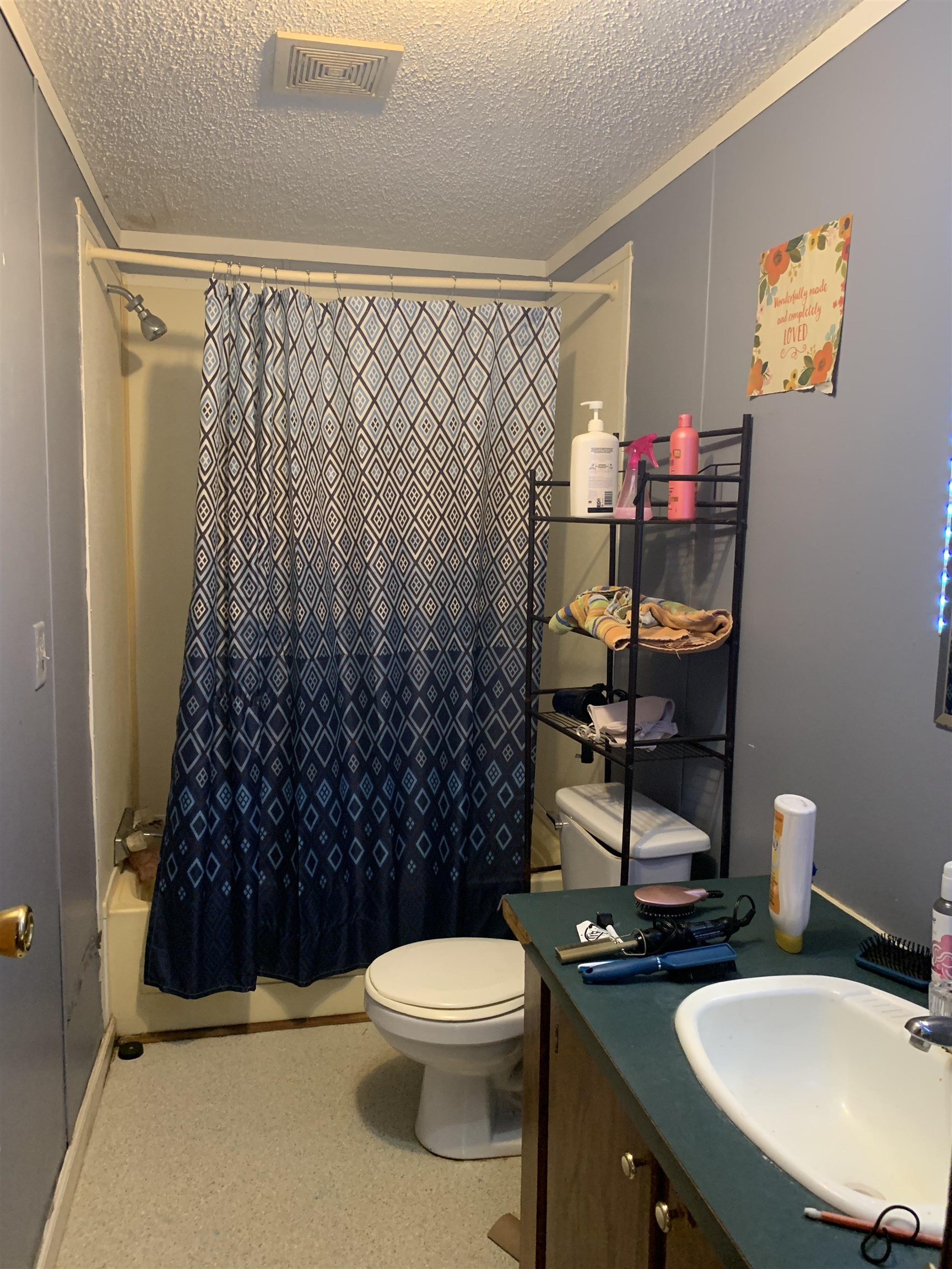6681 Lightfoot Luckett Road Ripley, TN 38063 - Photo 4 of 17 a bathroom with a sink a toilet and shower curtain