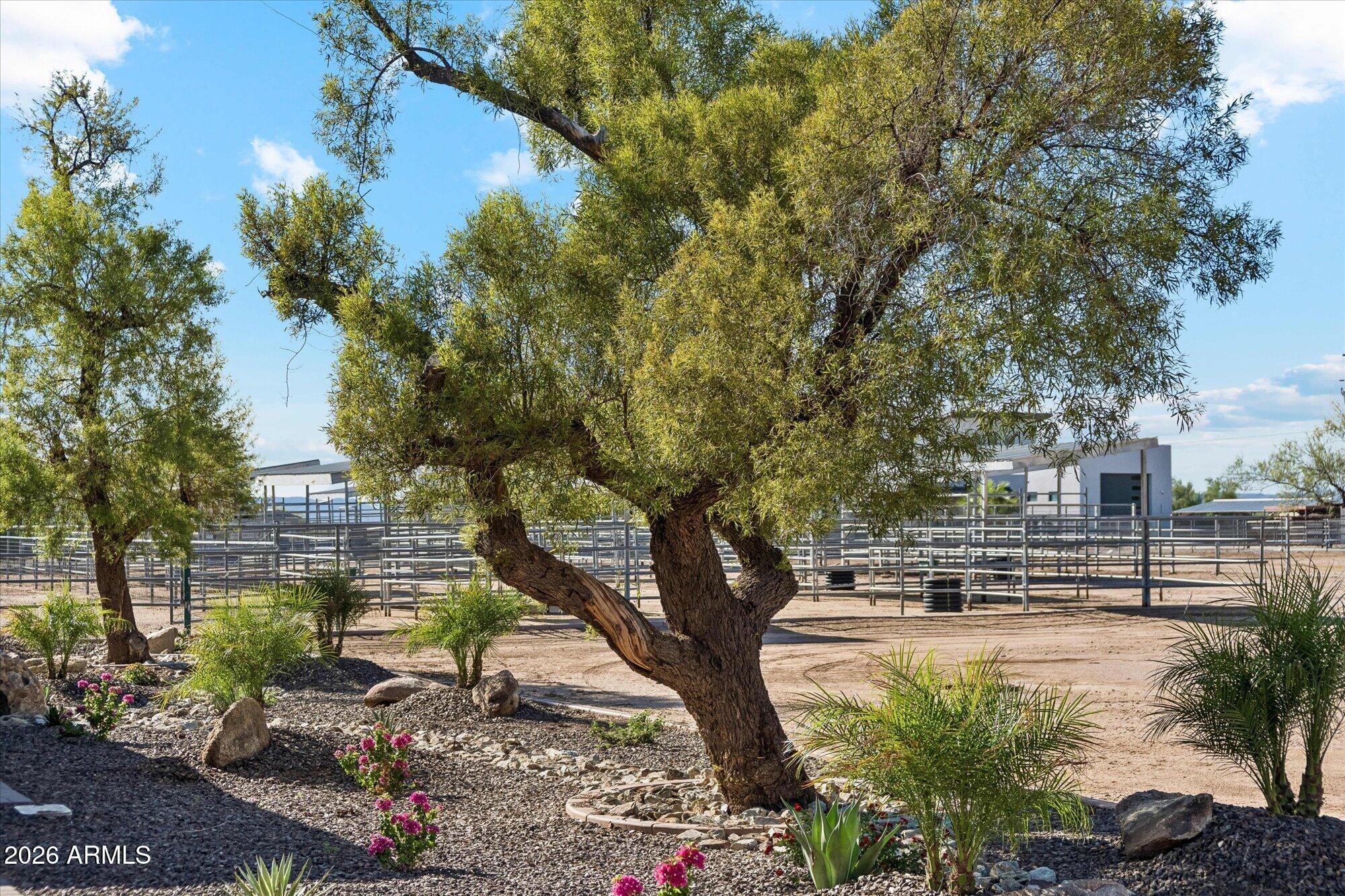 1440 West Irvine Road Phoenix, AZ 85086 - Photo 39 of 57 Backyard Landscaping