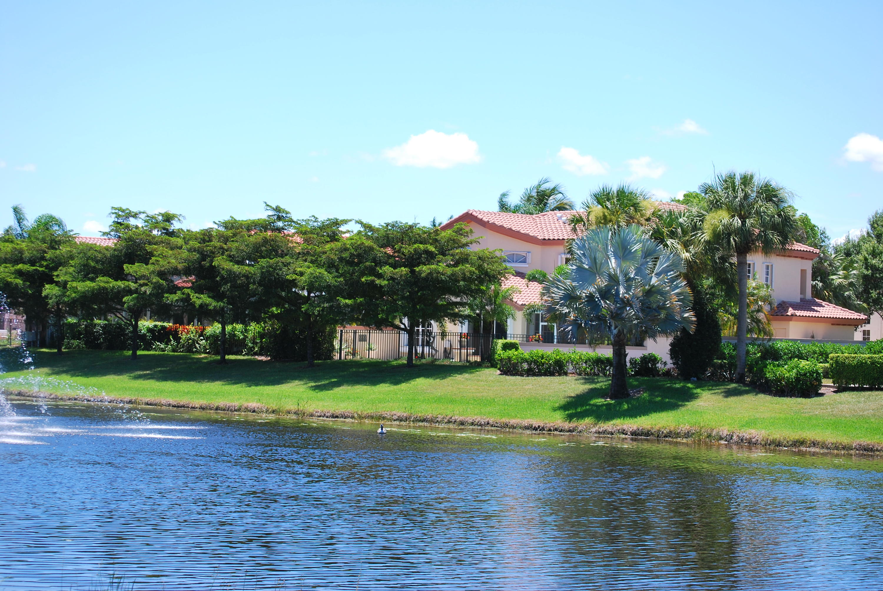 4- Backyard Lakeside