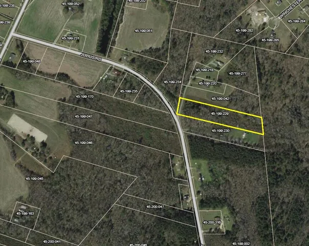 $36,000 | 0 Julius Road, Kingstree, SC 29556