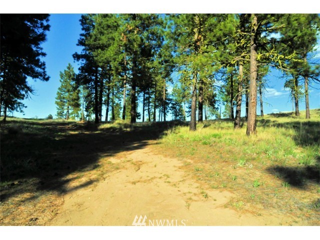 1250 Ridgecrest Drive, Unit 12 Chelan, WA 98816 - Photo 11 of 13 Gallery Image 11