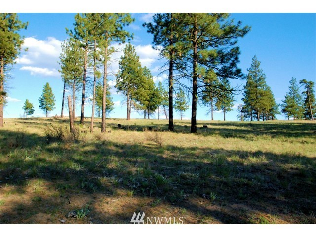 1250 Ridgecrest Drive, Unit 12 Chelan, WA 98816 - Photo 3 of 13 Gallery Image 3