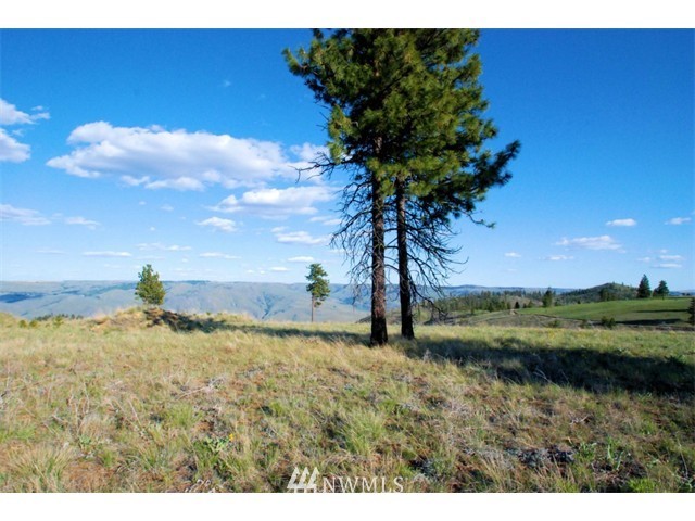 1250 Ridgecrest Drive, Unit 12 Chelan, WA 98816 - Photo 4 of 13 Gallery Image 4