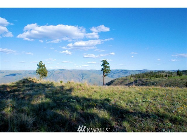 1250 Ridgecrest Drive, Unit 12 Chelan, WA 98816 - Photo 6 of 13 Gallery Image 6
