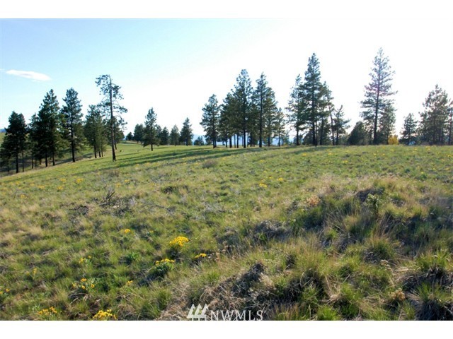 1250 Ridgecrest Drive, Unit 12 Chelan, WA 98816 - Photo 7 of 13 Gallery Image 7