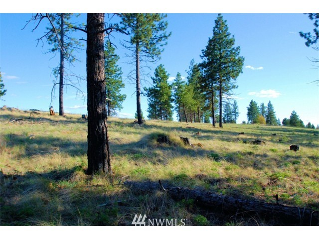 1250 Ridgecrest Drive, Unit 12 Chelan, WA 98816 - Photo 10 of 13 Gallery Image 10