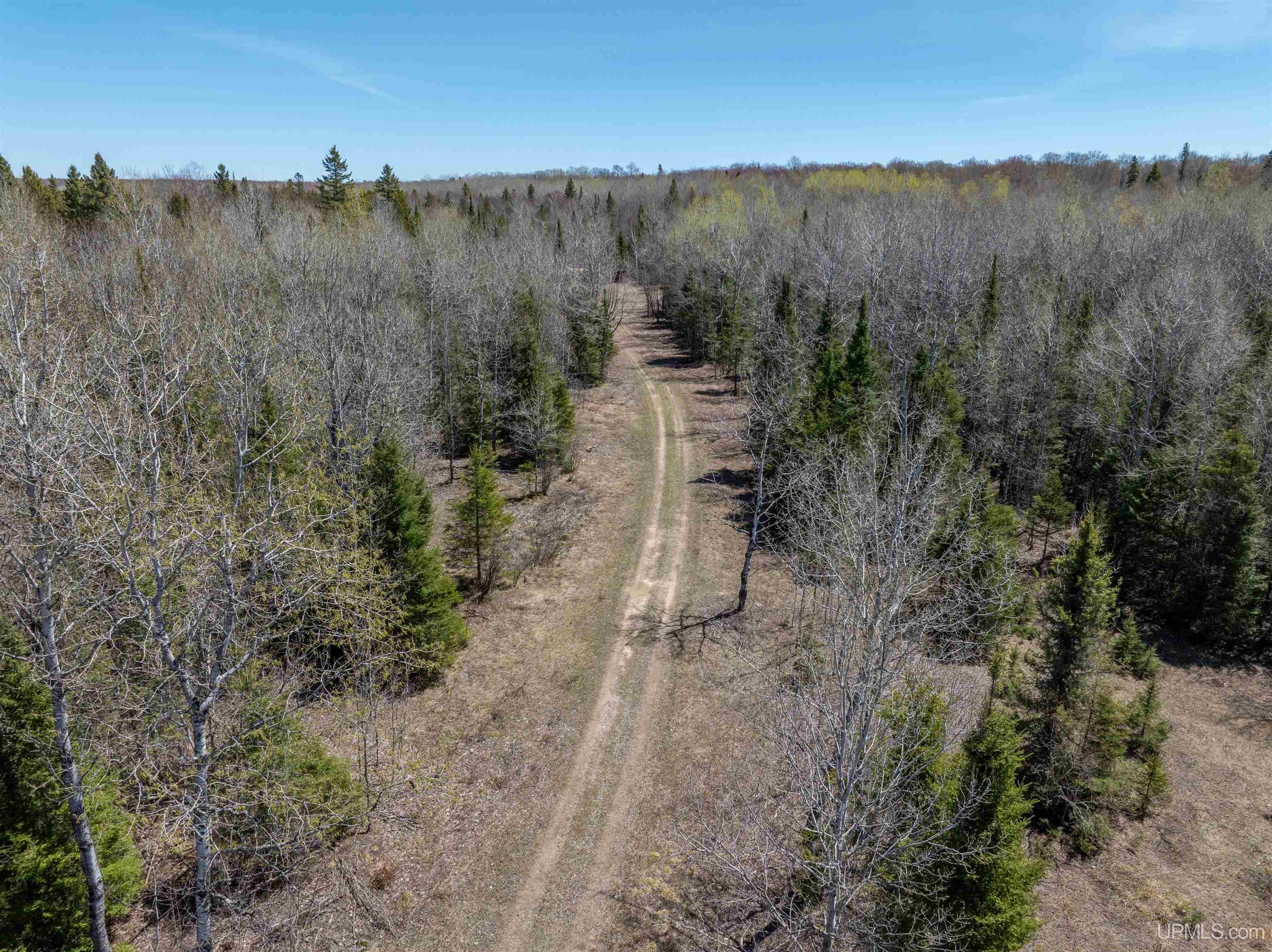 E4291 Walleye Road Chatham, MI 49816 - Photo 33 of 52