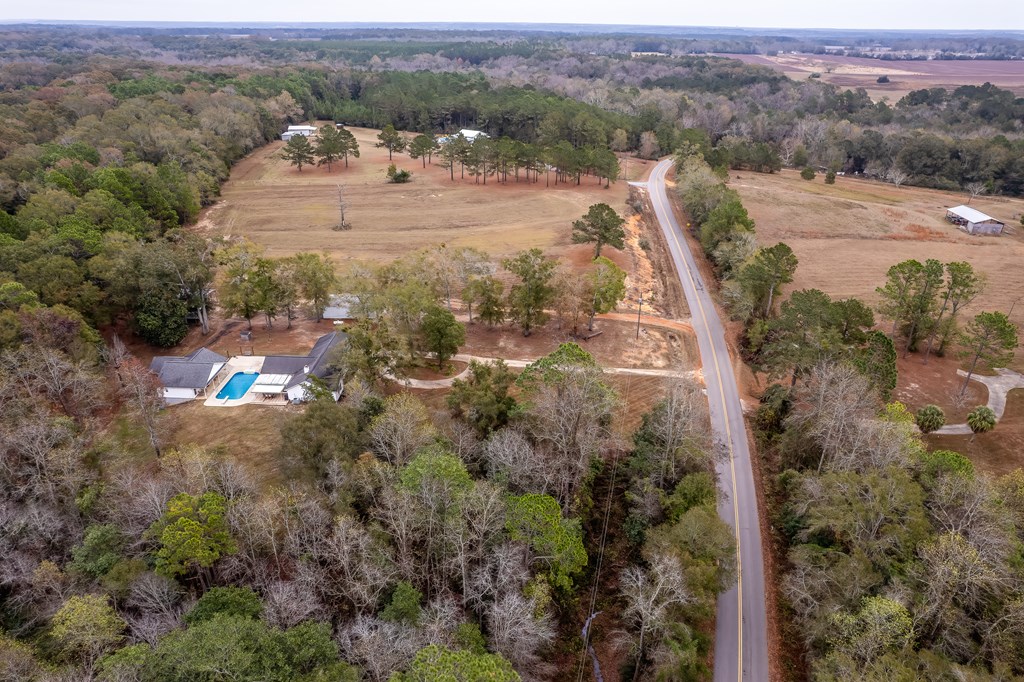 1638 Goose Hollow Road Geneva, AL 36340 - Photo 58 of 74