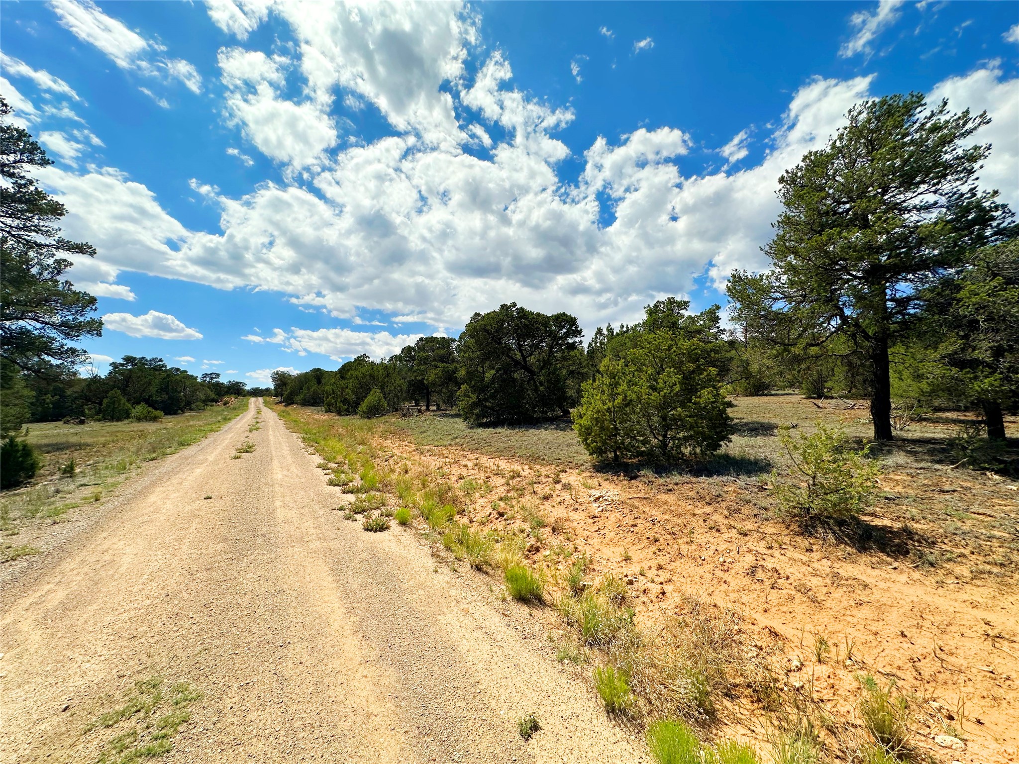 Lot 7 Tierra De Dios Ribera, NM 87560 - Photo 2 of 10
