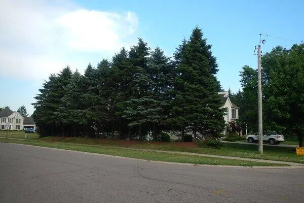 $900 | Vl South Vl South Demorrow Road, Stevensville, MI 49127